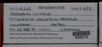 Image Associated With the Occurence